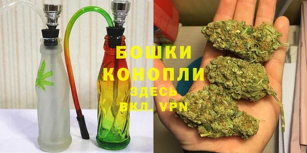 ПСИЛОЦИБИНОВЫЕ ГРИБЫ Балабаново