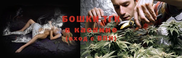 ПСИЛОЦИБИНОВЫЕ ГРИБЫ Балабаново