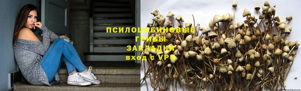 ПСИЛОЦИБИНОВЫЕ ГРИБЫ Балабаново